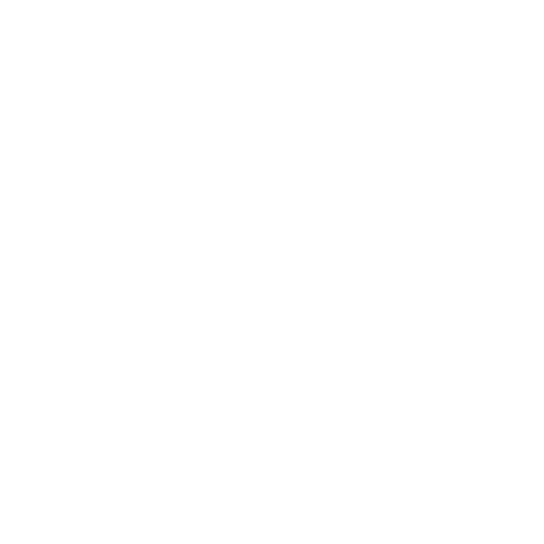 HSR Certified Professional Home Stager and Interior Stylist